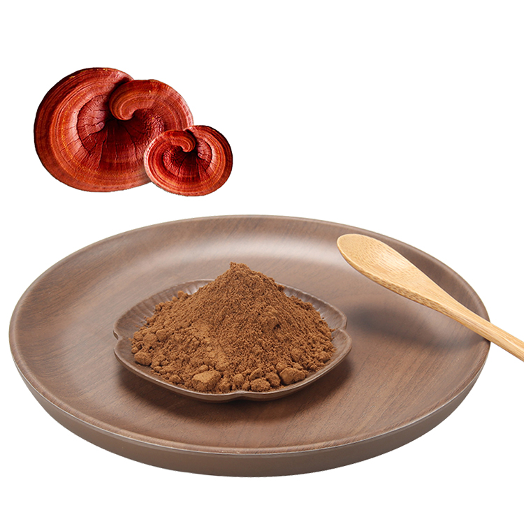 Longevity Support Formula with Forest Mushrooms